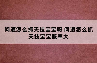 问道怎么抓天技宝宝呀 问道怎么抓天技宝宝概率大